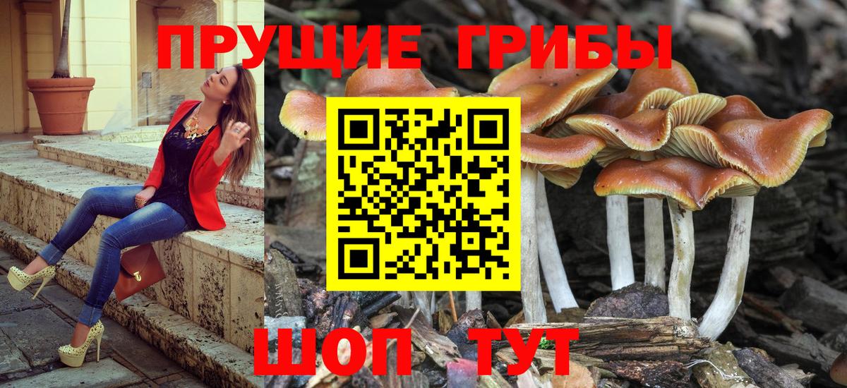 Галлюциногенные грибы Psilocybe  Вход с VPN  Псилоцибиновые грибы MAGIC MUSHROOMS  купить   Бугуруслан 