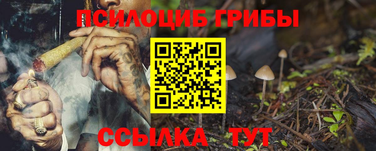 Псилоцибиновые грибы прущие грибы Бугуруслан
